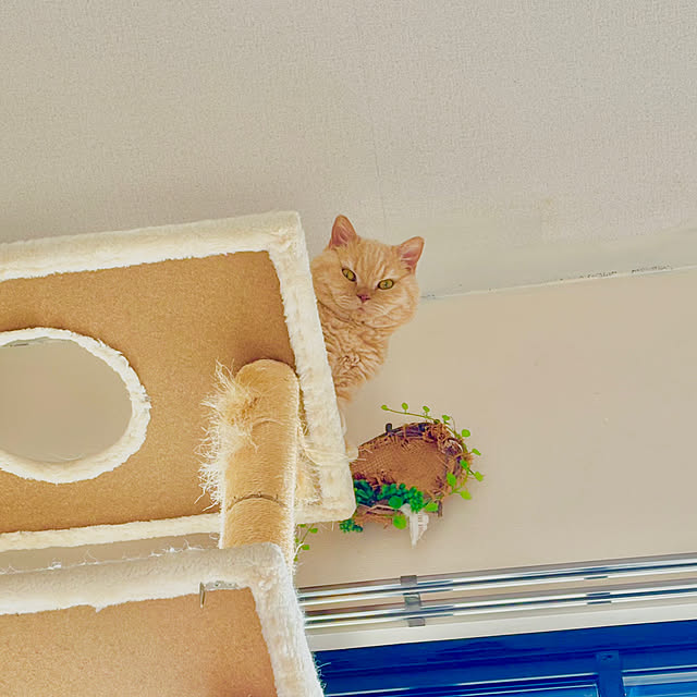 naokoさんの部屋
