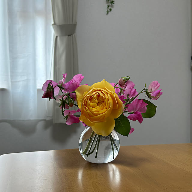 koereeさんの実例写真