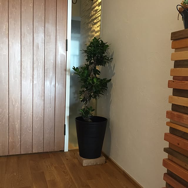 mono12さんの実例写真