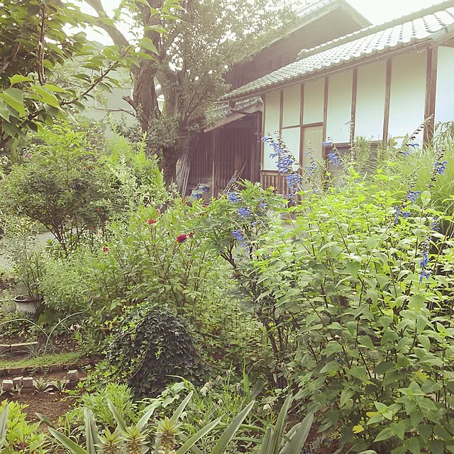 fumitskさんの実例写真