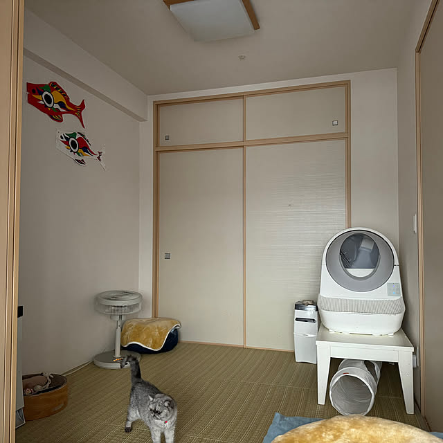 musamugiさんの実例写真