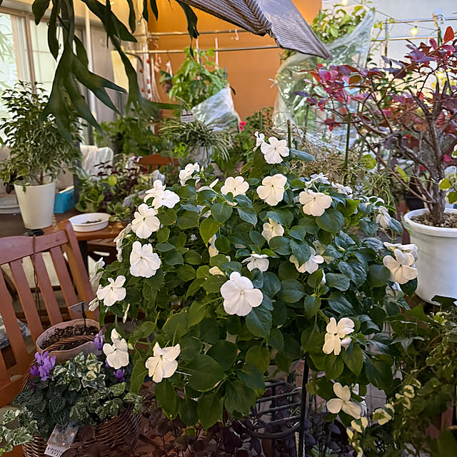 Aqettyさんの部屋