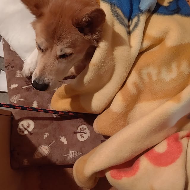 Ri-さんの部屋
