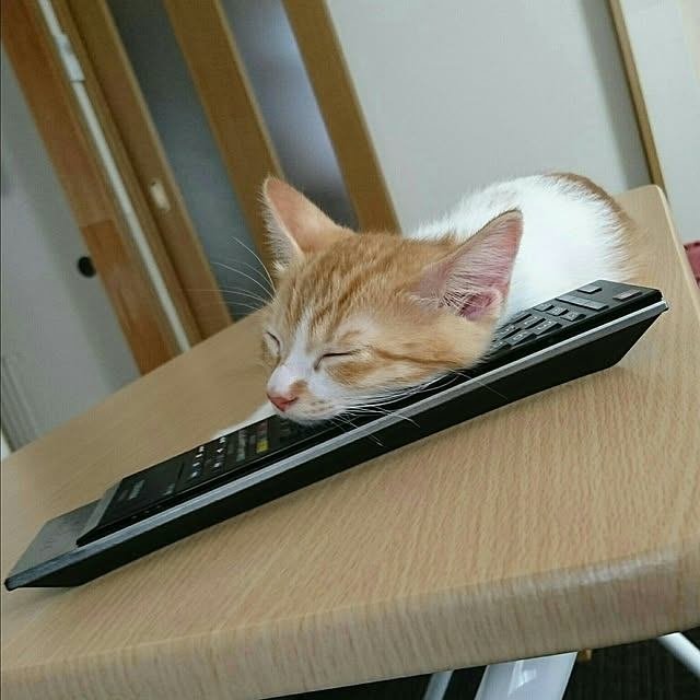 机のインテリア実例 - 2018-07-06 16:41:17
