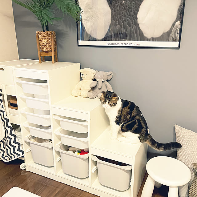 tansukeさんの部屋