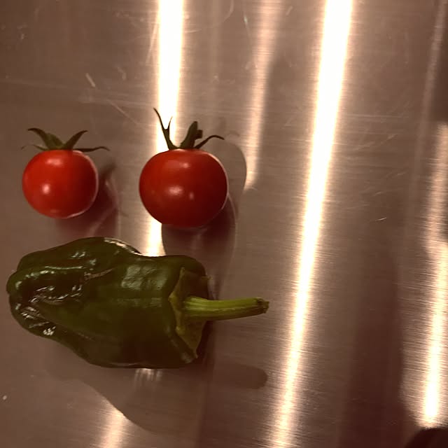 riakanaさんの実例写真