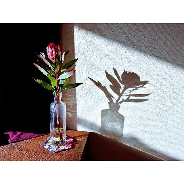 honoさんの実例写真
