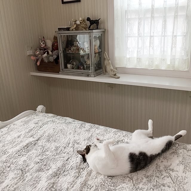 yuchiさんの実例写真