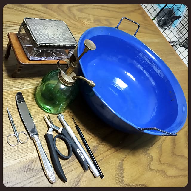 T.hinaさんの実例写真