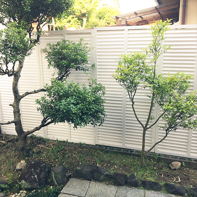 utamaruさんの実例写真