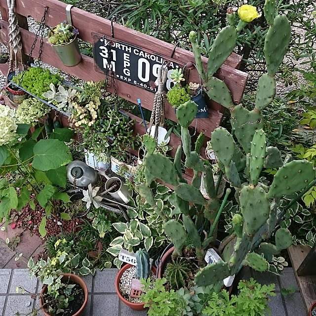 highig16さんの実例写真
