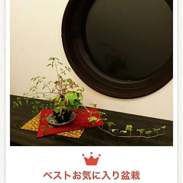 mamaikoさんの実例写真