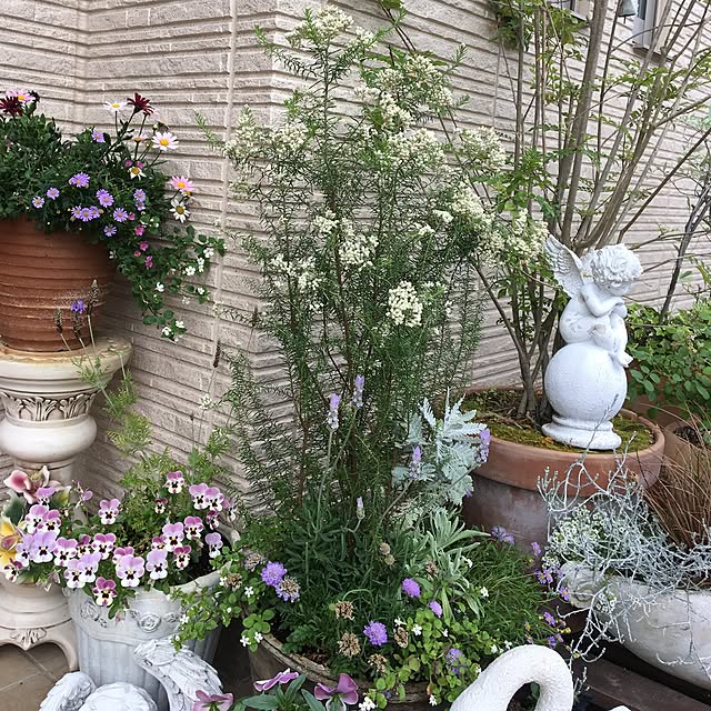 sanw2225719さんの実例写真