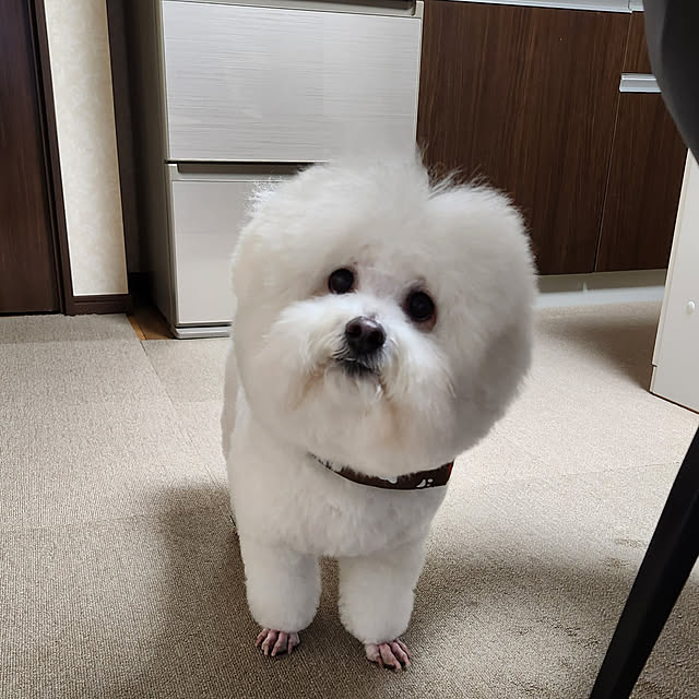 takoさんの実例写真