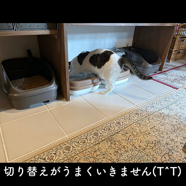 marusanさんの実例写真