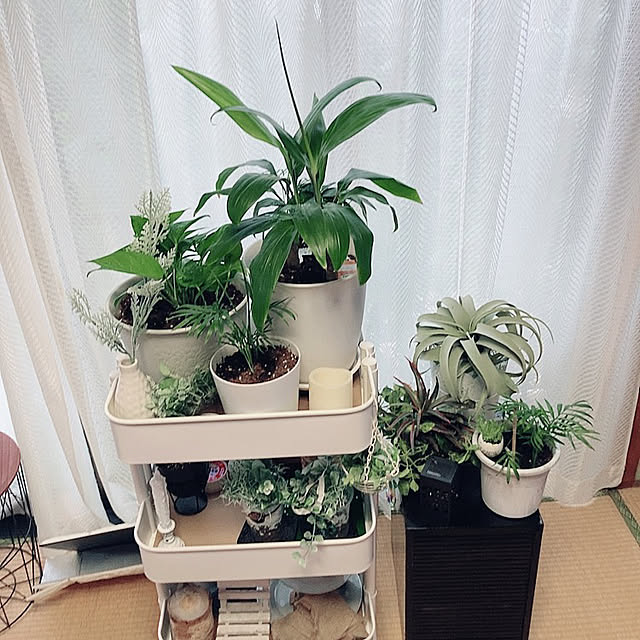 shoさんの実例写真