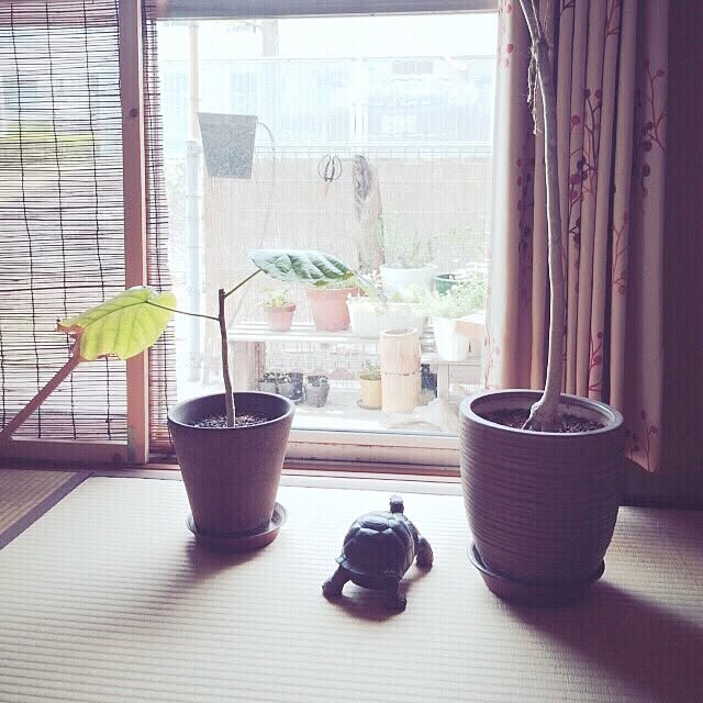 実例写真
