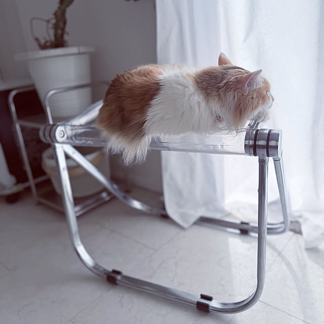 mya___kさんの部屋