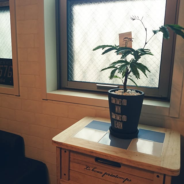 Makiさんの実例写真