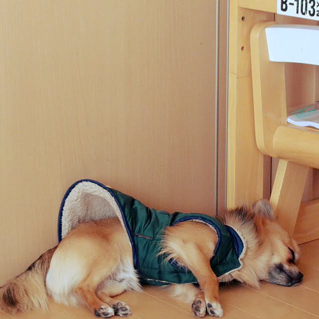 rie20さんの実例写真