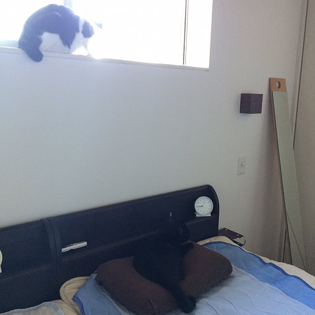aruさんの実例写真