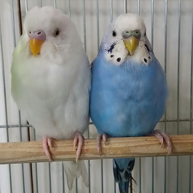 karinさんの実例写真