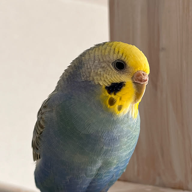 Atsukoさんの部屋