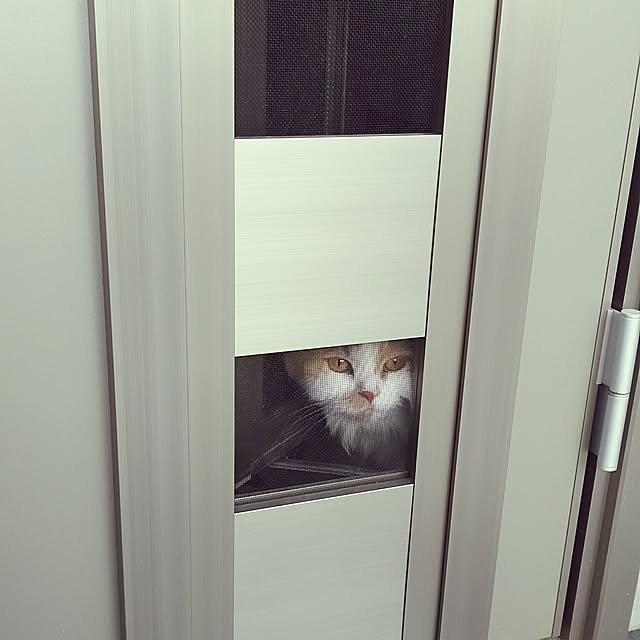 nonkoさんの実例写真