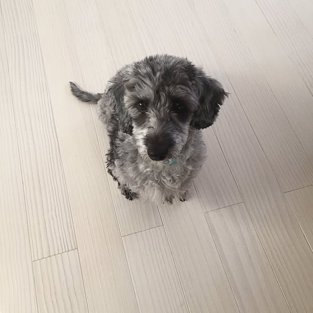 saco1616さんの実例写真