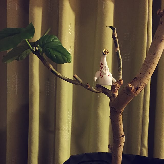 ebiomanさんの実例写真