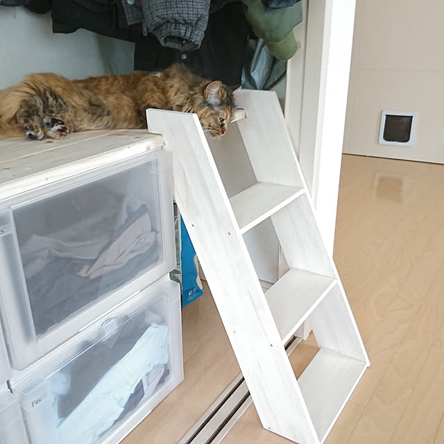 nekomajinさんの実例写真