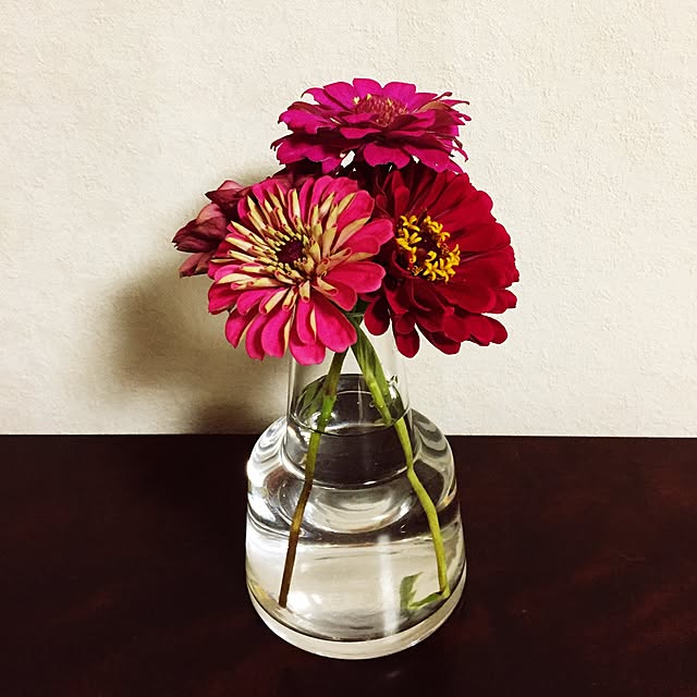 maru_a_gogoさんの実例写真