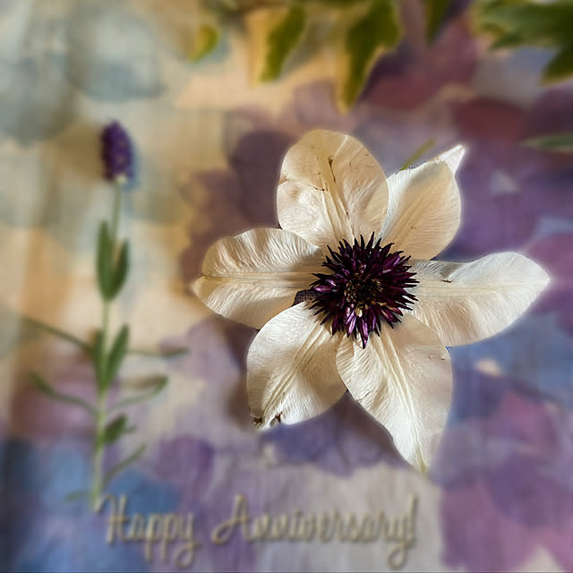 glassflowerさんの実例写真