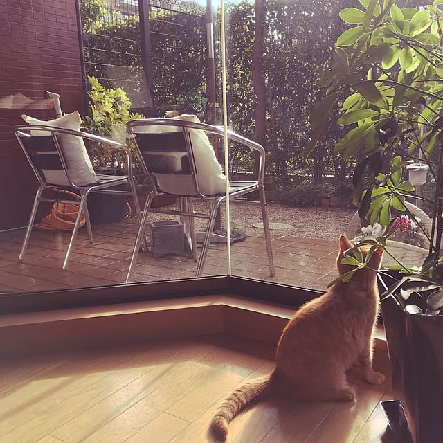 rumiさんの実例写真