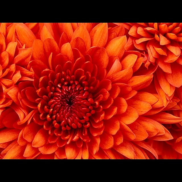 部屋全体のインテリア実例 - 2014-01-24 13:38:30