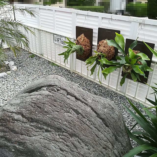 brooklynさんの実例写真
