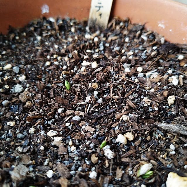 hopkeiさんの実例写真