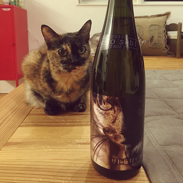 paipan720さんの実例写真