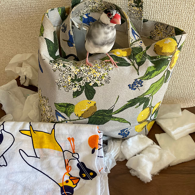 Lonさんの部屋