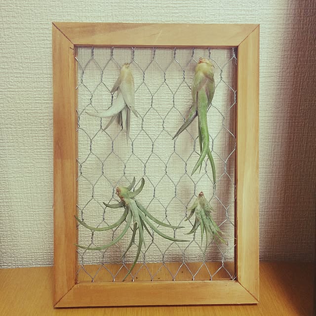 makimakiさんの実例写真