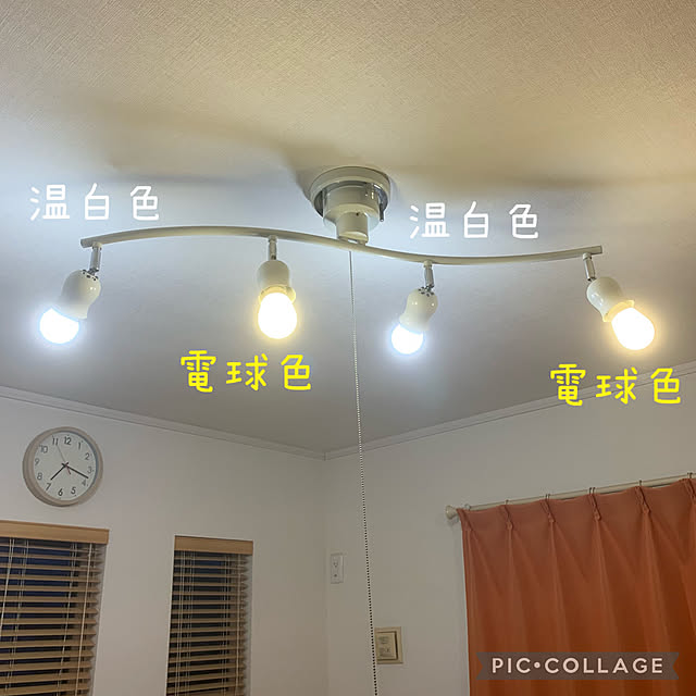 kaerunoameriさんの実例写真