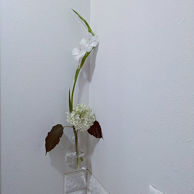 Shion+さんの実例写真