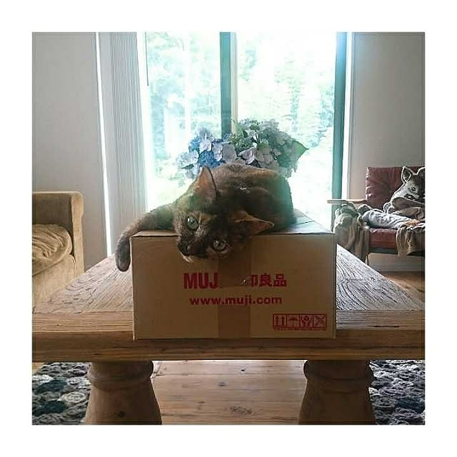 maison.de.brocanteさんの実例写真