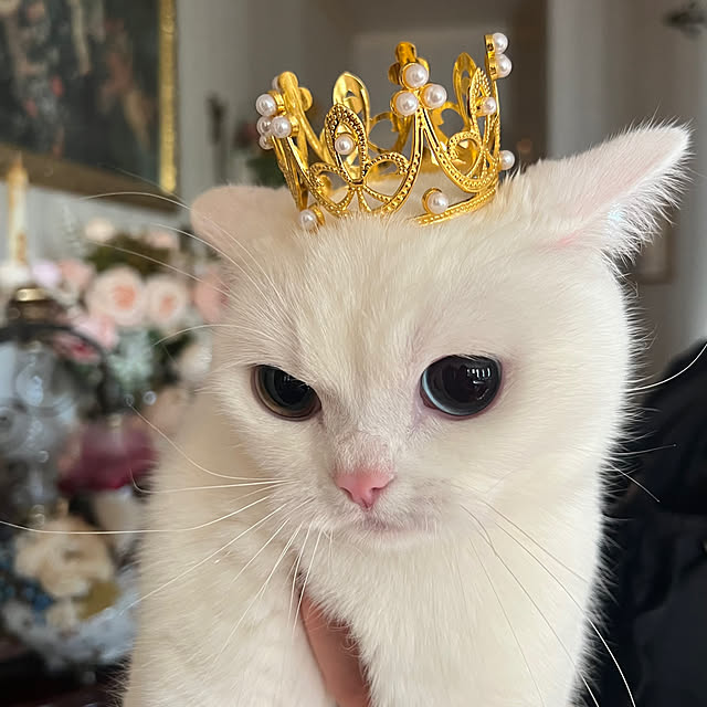 AYUKOさんの部屋