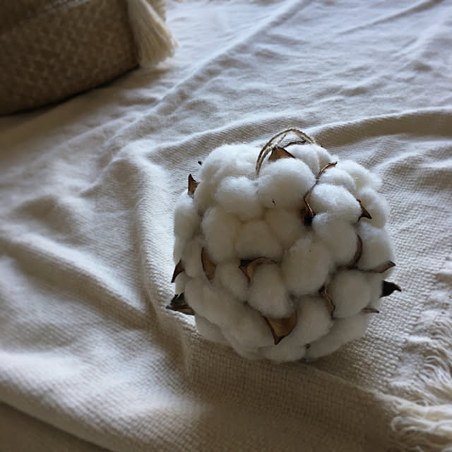 chi_kaさんの実例写真