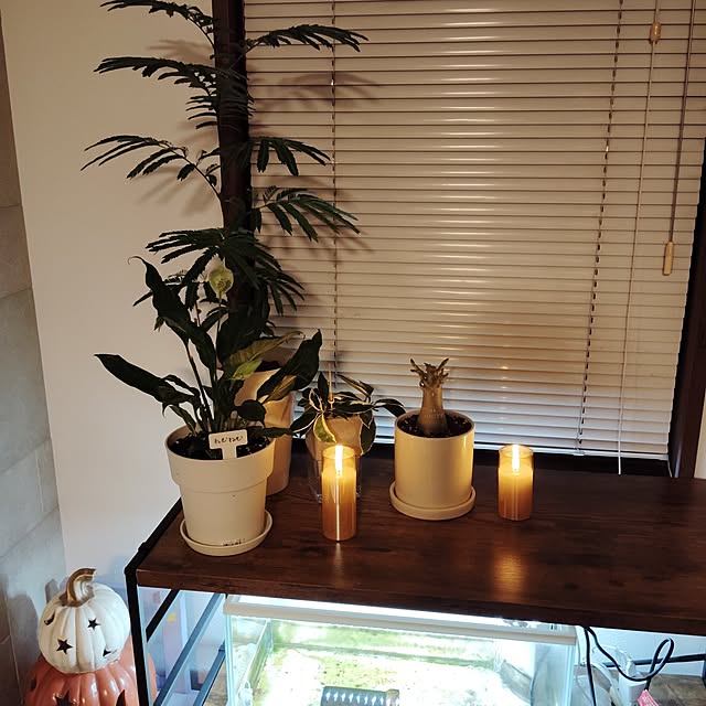 momomamaさんの部屋