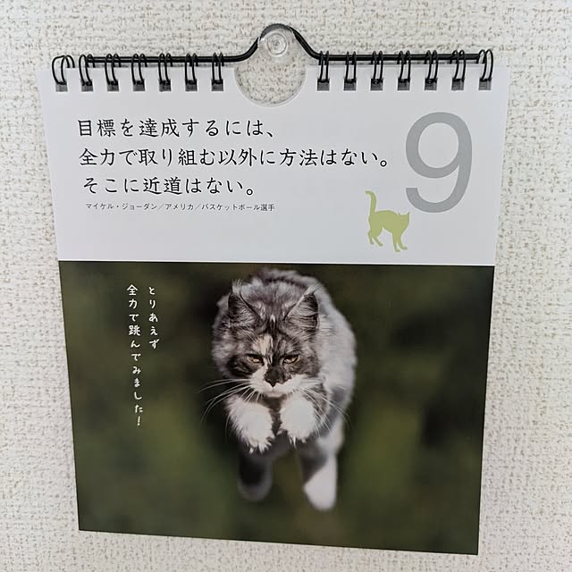 minnieさんの部屋