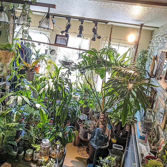 GINさんの部屋