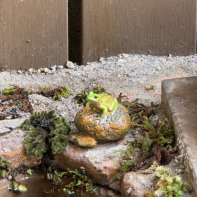 tabasaさんの部屋