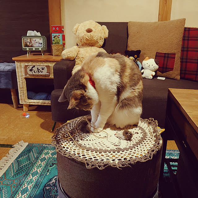 fukuさんの実例写真